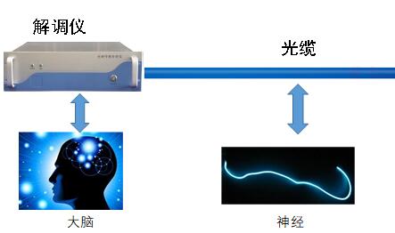 分布式光纤传感器及系统